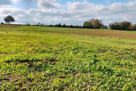 Helårsgrund i Fleurance, Gers, Fleurance - € 29.000 | Ref: 422556JLGE - foto 7