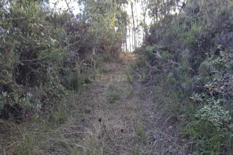 Helårsgrund i Gesteira e Brunhos, Coimbra, Gesteira e Brunhos - € 8.600 | Ref: C0381-00817 - foto 6