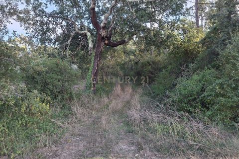 Helårsgrund i Gesteira e Brunhos, Coimbra, Gesteira e Brunhos - € 8.600 | Ref: C0381-00817 - foto 7
