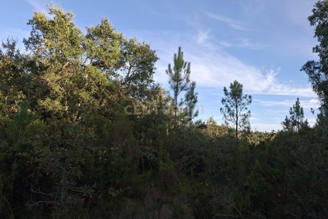 Helårsgrund i Gesteira e Brunhos, Coimbra, Gesteira e Brunhos - € 8.600 | Ref: C0381-00817 - foto 11