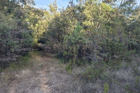 Helårsgrund i Gesteira e Brunhos, Coimbra, Gesteira e Brunhos - € 8.600 | Ref: C0381-00817 - foto 12