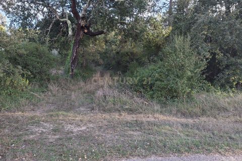 Helårsgrund i Gesteira e Brunhos, Coimbra, Gesteira e Brunhos - € 8.600 | Ref: C0381-00817 - foto 17