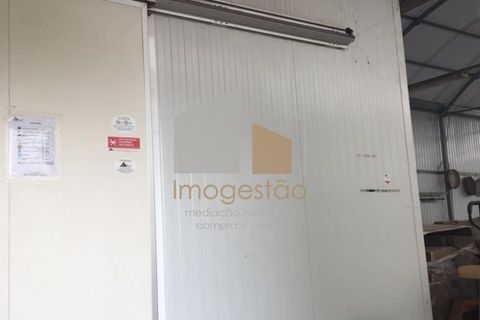 Landejendom i Valenca, Viana do Castelo, Valenca - € 250.000 | Ref: QUI_899 - foto 11