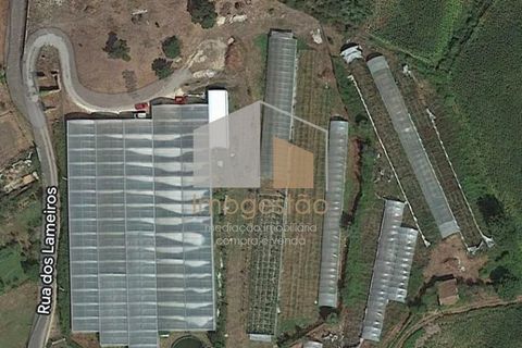 Landejendom i Valenca, Viana do Castelo, Valenca - € 250.000 | Ref: QUI_899 - foto 12