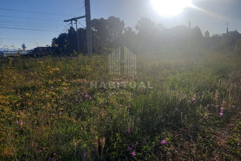 Helårsgrund i Darque, Viana do Castelo, Darque - € 60.000 | Ref: EM441 - foto 4