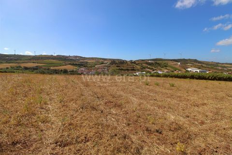 Helårsgrund i Torres Vedras, Lisbon, Torres Vedras - € 49.900 | Ref: 295250081 - foto 4