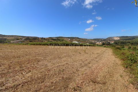 Helårsgrund i Torres Vedras, Lisbon, Torres Vedras - € 49.900 | Ref: 295250081 - foto 6