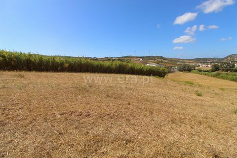 Helårsgrund i Torres Vedras, Lisbon, Torres Vedras - € 49.900 | Ref: 295250081 - foto 7