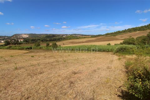 Helårsgrund i Torres Vedras, Lisbon, Torres Vedras - € 49.900 | Ref: 295250081 - foto 8