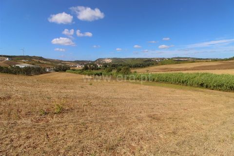 Helårsgrund i Torres Vedras, Lisbon, Torres Vedras - € 49.900 | Ref: 295250081 - foto 10