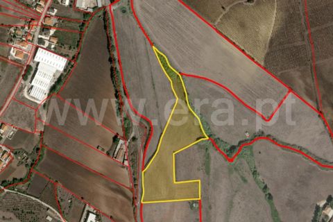 Helårsgrund i Torres Vedras, Lisbon, Torres Vedras - € 49.900 | Ref: 295250081 - foto 12