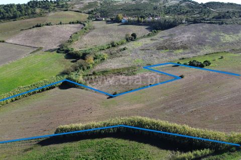 Helårsgrund i Torres Vedras, Lisbon, Torres Vedras - € 49.900 | Ref: 295250081 - foto 15