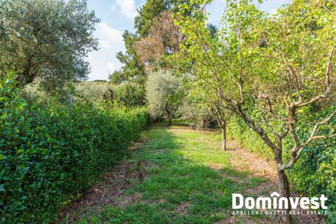 Villa a Velletri, Rome, Velletri - € 185.000 | Ref: V-213 - foto 9