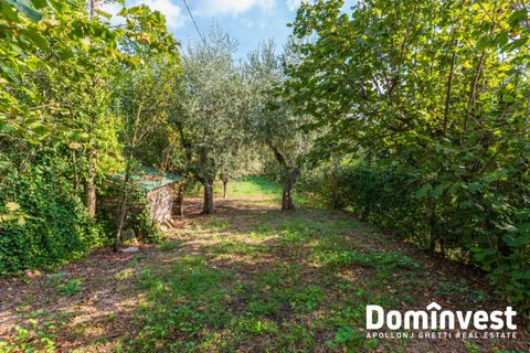 Villa a Velletri, Rome, Velletri - € 185.000 | Ref: V-213 - foto 11
