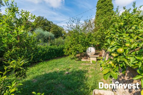 Villa a Velletri, Rome, Velletri - € 185.000 | Ref: V-213 - foto 12