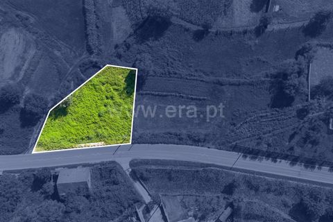 Helårsgrund i Ponte de Lima, Viana do Castelo, Ponte de Lima - € 52.500 | Ref: 254250233 - foto 2