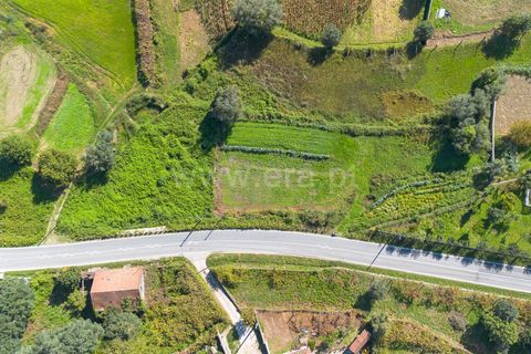 Helårsgrund i Ponte de Lima, Viana do Castelo, Ponte de Lima - € 52.500 | Ref: 254250233 - foto 3