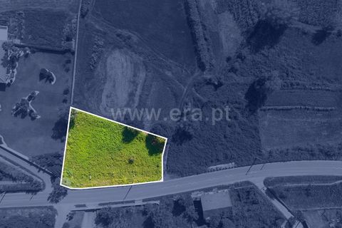 Helårsgrund i Ponte de Lima, Viana do Castelo, Ponte de Lima - € 62.500 | Ref: 254250234 - foto 2