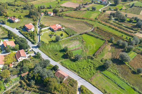 Helårsgrund i Ponte de Lima, Viana do Castelo, Ponte de Lima - € 62.500 | Ref: 254250234 - foto 3