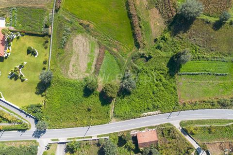 Helårsgrund i Ponte de Lima, Viana do Castelo, Ponte de Lima - € 62.500 | Ref: 254250234 - foto 4