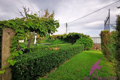Villa i Viana do Castelo, Viana do Castelo, Viana do Castelo - € 498.000 | Ref: 73/2025 - foto 44