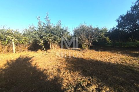 Helårsgrund i Viana do Castelo, Viana do Castelo, Viana do Castelo - € 90.000 | Ref: S223 - foto 5