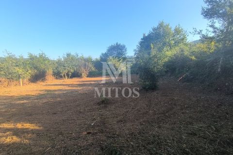 Helårsgrund i Viana do Castelo, Viana do Castelo, Viana do Castelo - € 90.000 | Ref: S223 - foto 22