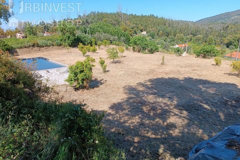 Helårsgrund i Monchique, Faro, Monchique - € 75.000 | Ref: AR00473 - PT - foto 3