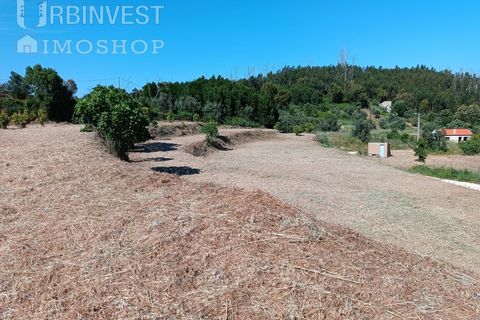 Helårsgrund i Monchique, Faro, Monchique - € 75.000 | Ref: AR00473 - PT - foto 4