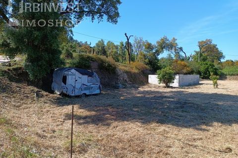 Helårsgrund i Monchique, Faro, Monchique - € 75.000 | Ref: AR00473 - PT - foto 5