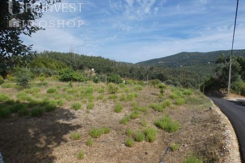 Helårsgrund i Monchique, Faro, Monchique - € 75.000 | Ref: AR00473 - PT - foto 6