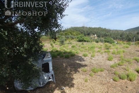 Helårsgrund i Monchique, Faro, Monchique - € 75.000 | Ref: AR00473 - PT - foto 7