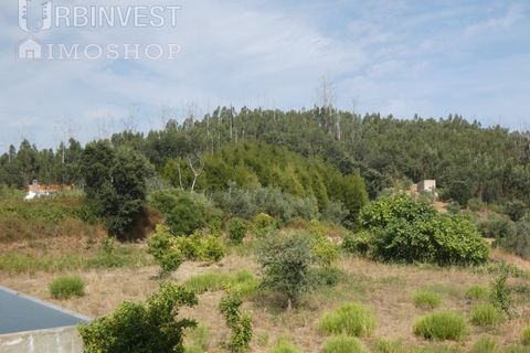 Helårsgrund i Monchique, Faro, Monchique - € 75.000 | Ref: AR00473 - PT - foto 2