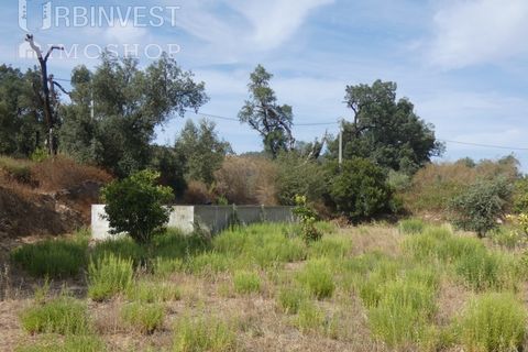 Helårsgrund i Monchique, Faro, Monchique - € 75.000 | Ref: AR00473 - PT - foto 9