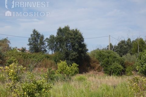 Helårsgrund i Monchique, Faro, Monchique - € 75.000 | Ref: AR00473 - PT - foto 10