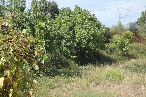 Helårsgrund i Monchique, Faro, Monchique - € 75.000 | Ref: AR00473 - PT - foto 11