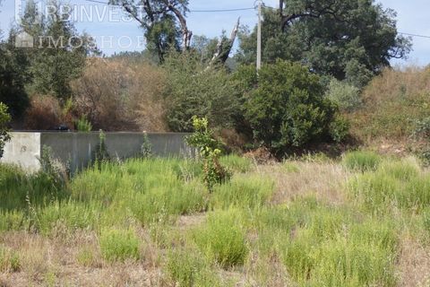 Helårsgrund i Monchique, Faro, Monchique - € 75.000 | Ref: AR00473 - PT - foto 12