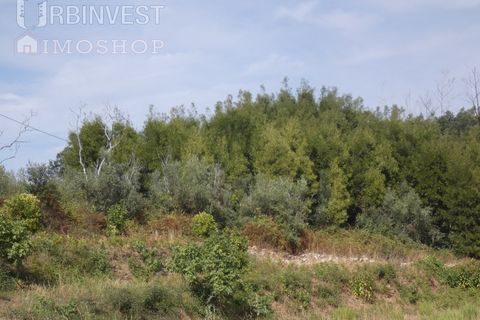 Helårsgrund i Monchique, Faro, Monchique - € 75.000 | Ref: AR00473 - PT - foto 13