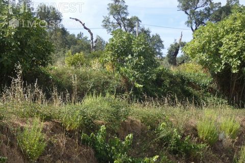 Helårsgrund i Monchique, Faro, Monchique - € 75.000 | Ref: AR00473 - PT - foto 14