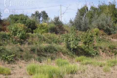 Helårsgrund i Monchique, Faro, Monchique - € 75.000 | Ref: AR00473 - PT - foto 15