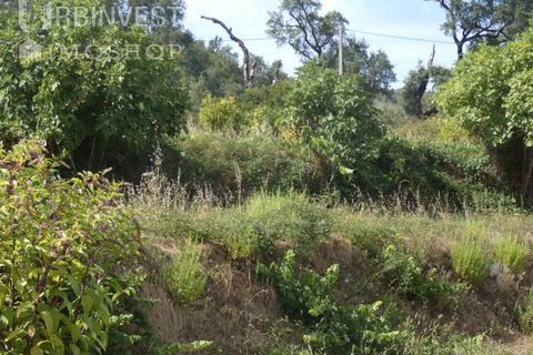 Helårsgrund i Monchique, Faro, Monchique - € 75.000 | Ref: AR00473 - PT - foto 16