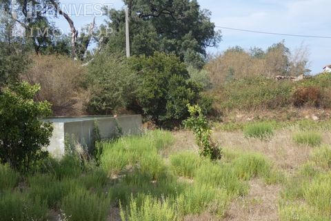 Helårsgrund i Monchique, Faro, Monchique - € 75.000 | Ref: AR00473 - PT - foto 17