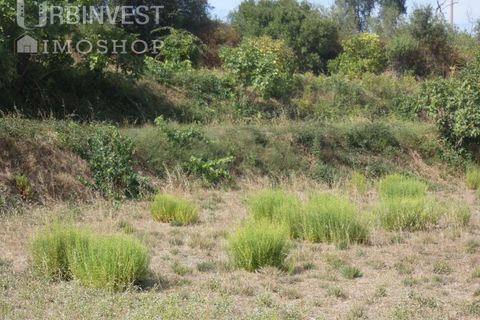Helårsgrund i Monchique, Faro, Monchique - € 75.000 | Ref: AR00473 - PT - foto 18