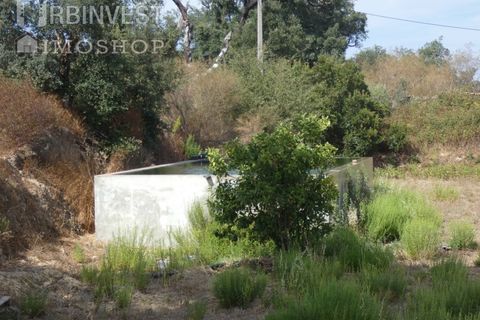 Helårsgrund i Monchique, Faro, Monchique - € 75.000 | Ref: AR00473 - PT - foto 19