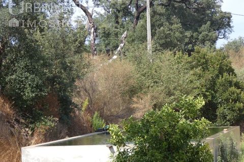 Helårsgrund i Monchique, Faro, Monchique - € 75.000 | Ref: AR00473 - PT - foto 20