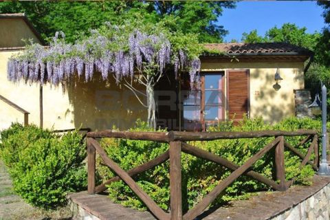 Byhus i Guardistallo, Pisa, Guardistallo - € 2.900.000 | Ref: 4794 - foto 7