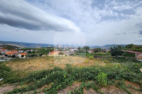 Terra a Sabrosa, Vila Real, Sabrosa - € 65.000 | Ref: TER_1097 - foto 5