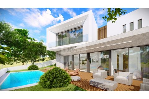Terra a Sabrosa, Vila Real, Sabrosa - € 65.000 | Ref: TER_1097 - foto 2