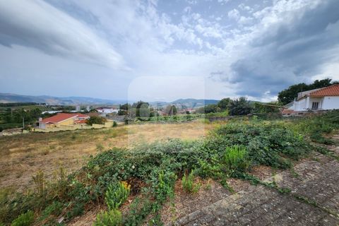 Terra a Sabrosa, Vila Real, Sabrosa - € 65.000 | Ref: TER_1097 - foto 7