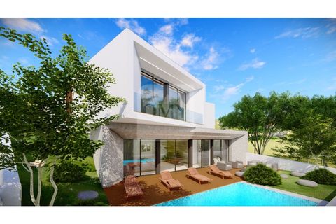 Terra a Sabrosa, Vila Real, Sabrosa - € 65.000 | Ref: TER_1097 - foto 6